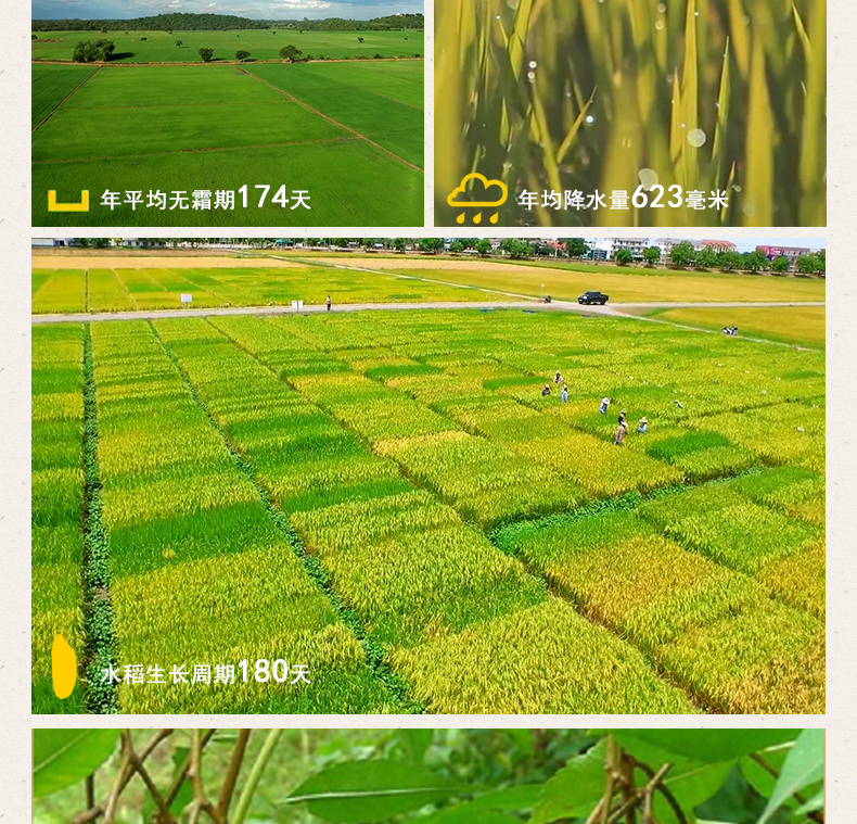 德乌敦5kg_05.jpg