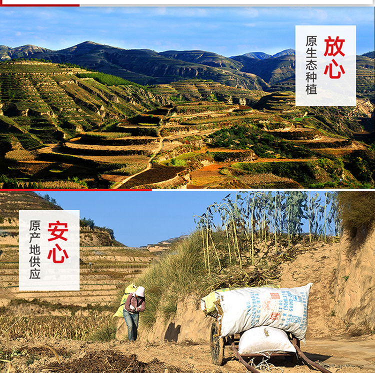 详情页_12.jpg