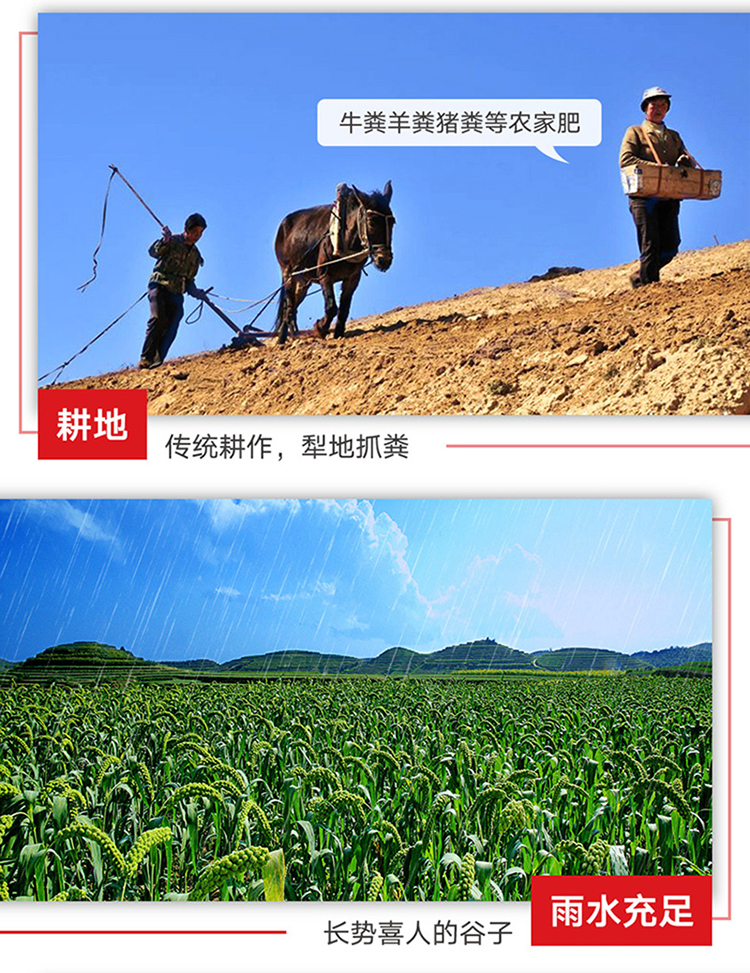 详情页_06.jpg