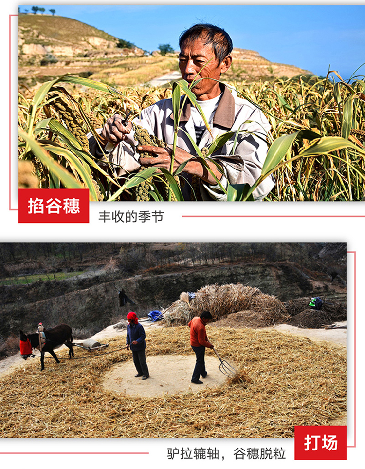 详情页_07.jpg