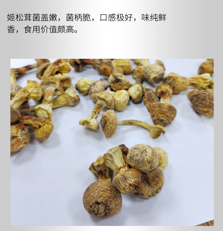 姬松茸_r7_c1.jpg