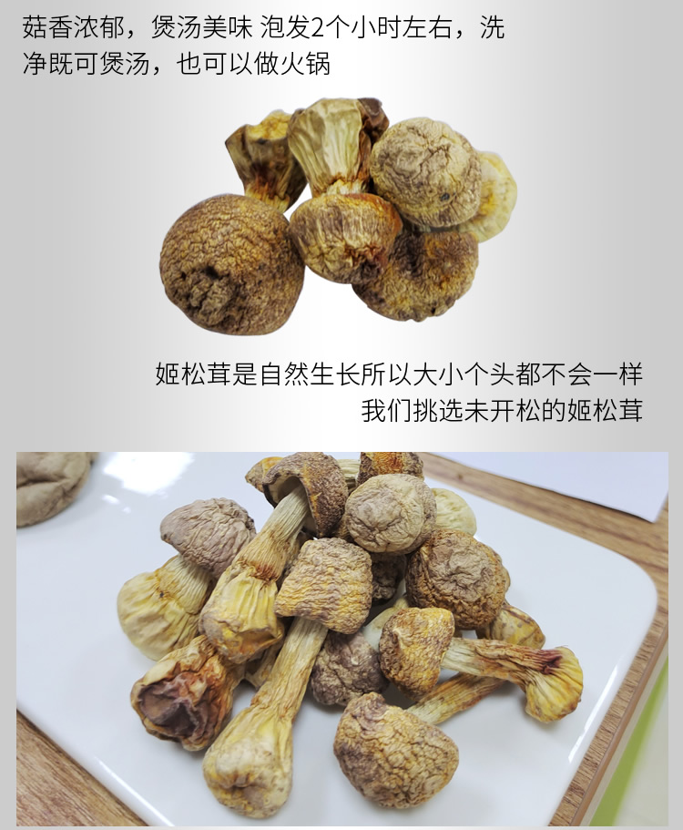 姬松茸_r6_c1.jpg