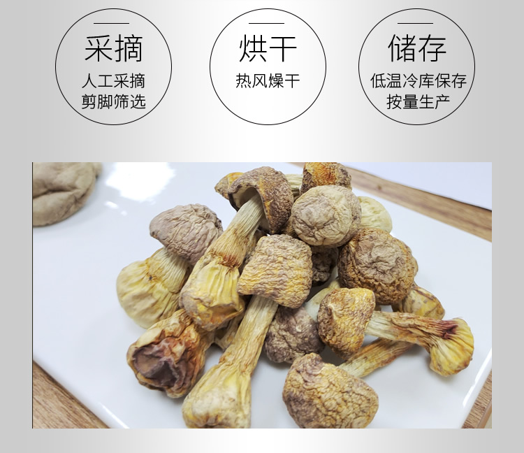 姬松茸_r4_c1.jpg