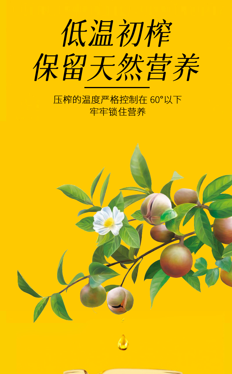 有机茶油-详情页_05.jpg