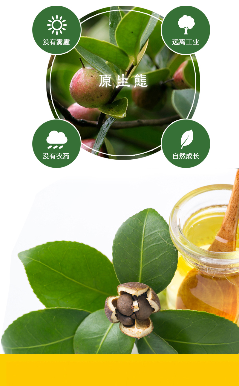 有机茶油-详情页_04.jpg