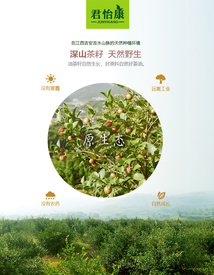 山茶油_r3_c1.jpg