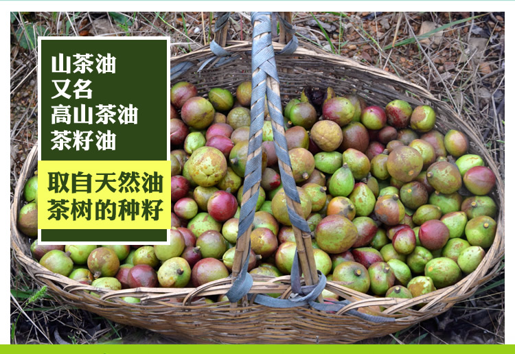 山茶油_r6_c1.jpg