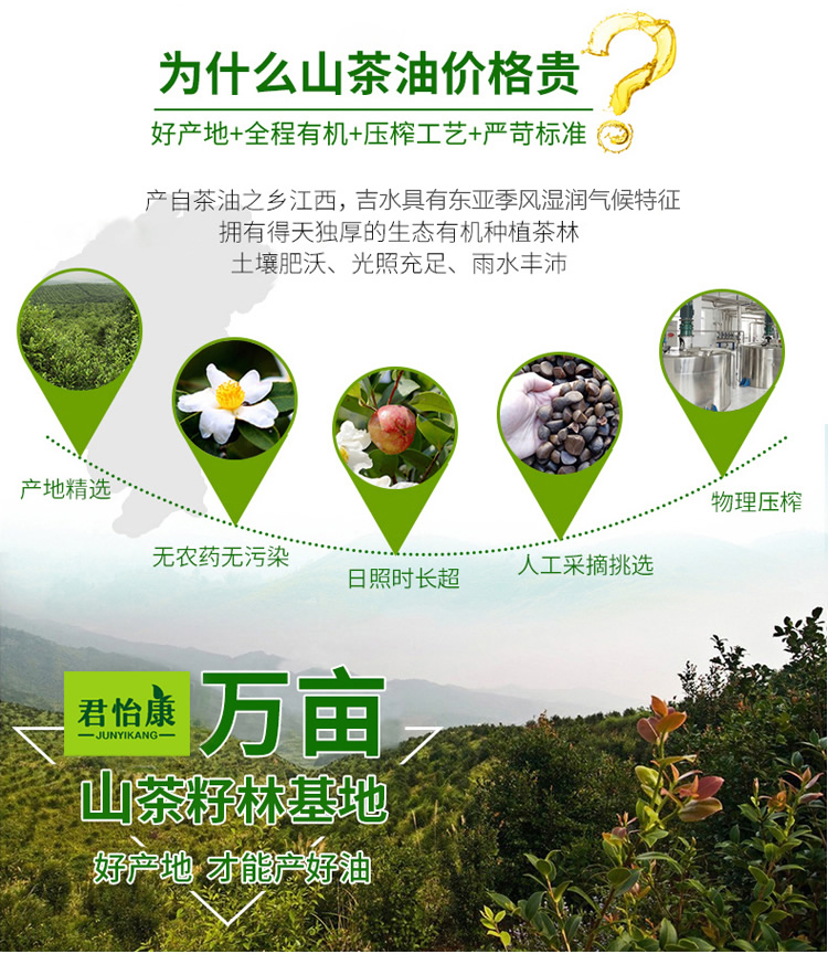 山茶油_r12_c1.jpg