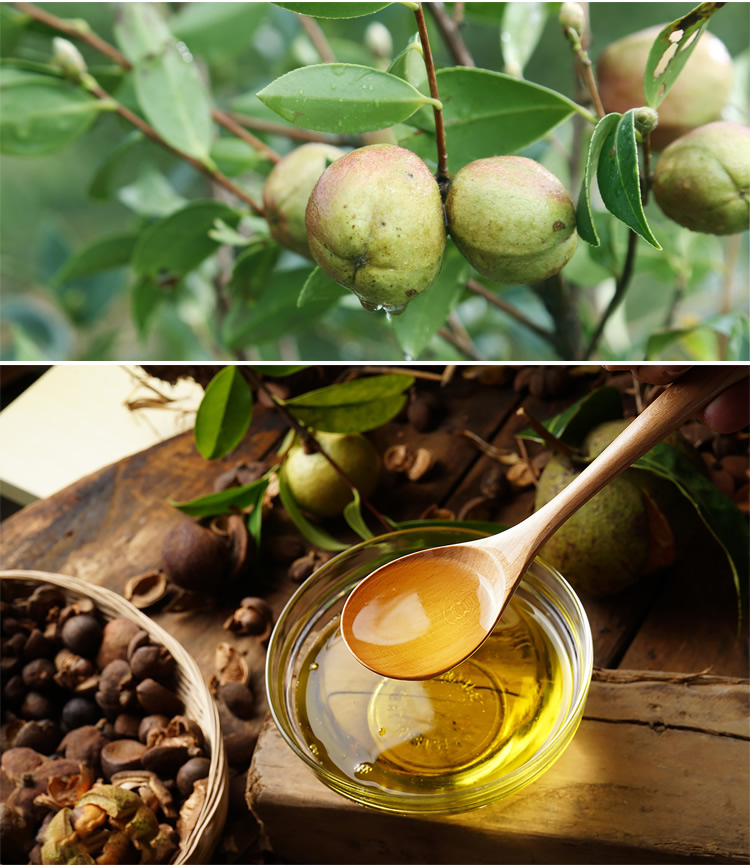 山茶油_r13_c1.jpg