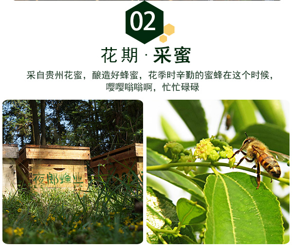 枣花_10.jpg