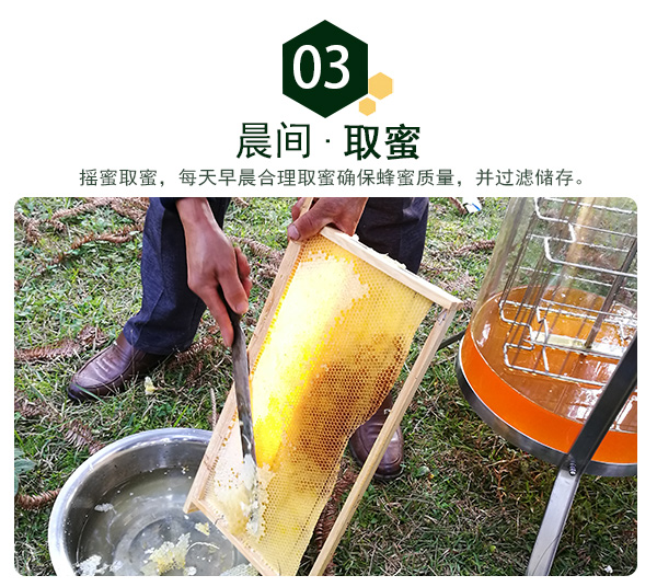 枣花_11.jpg
