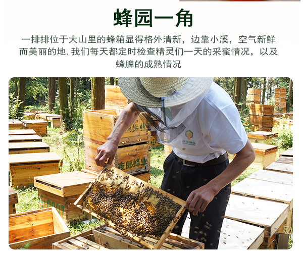 枣花_07.jpg