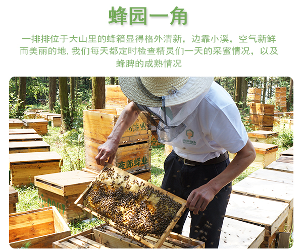 枇杷蜂蜜_07.jpg