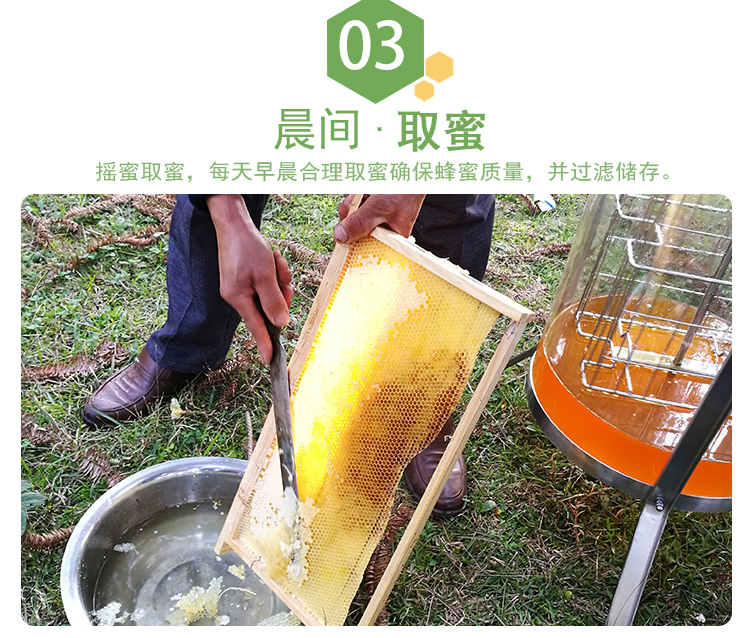 百花_09.jpg