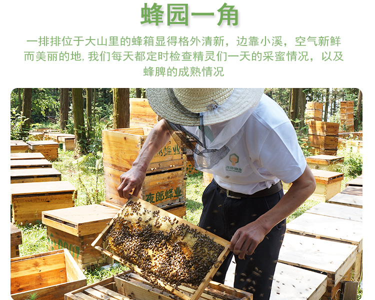 百花_06.jpg
