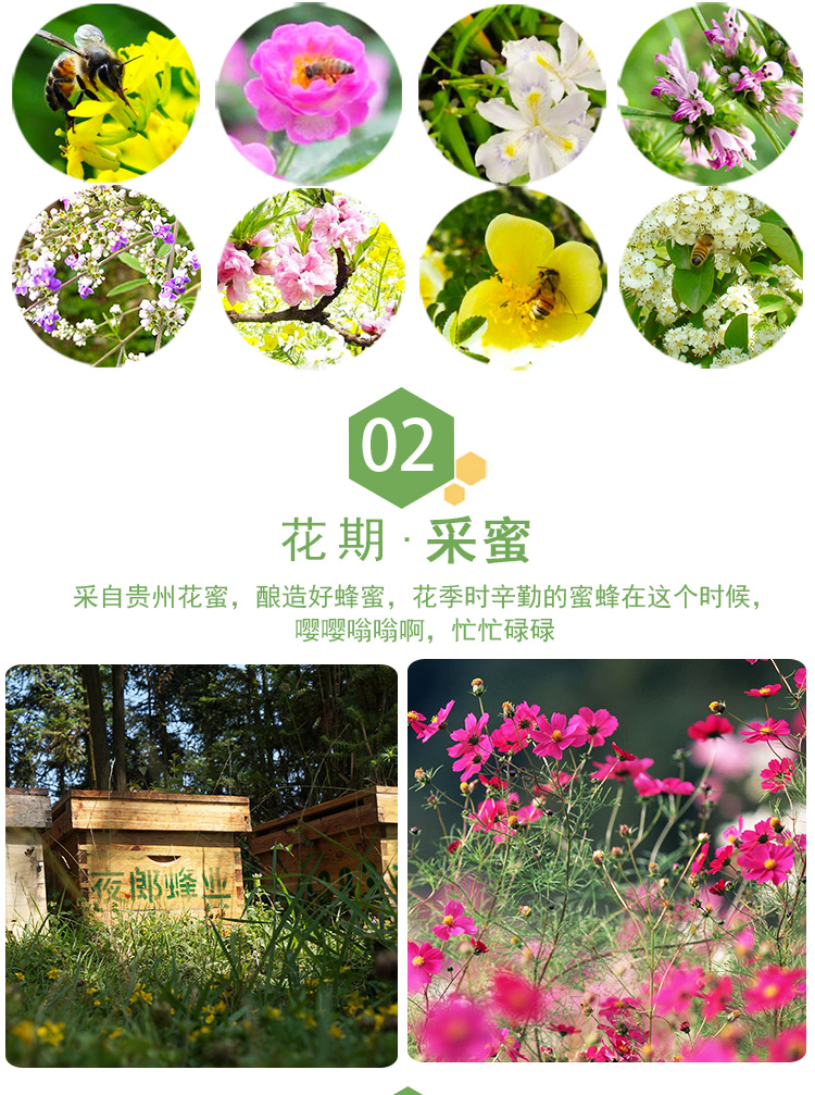 百花_08.jpg