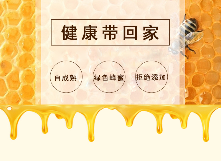 紫云英_04.jpg