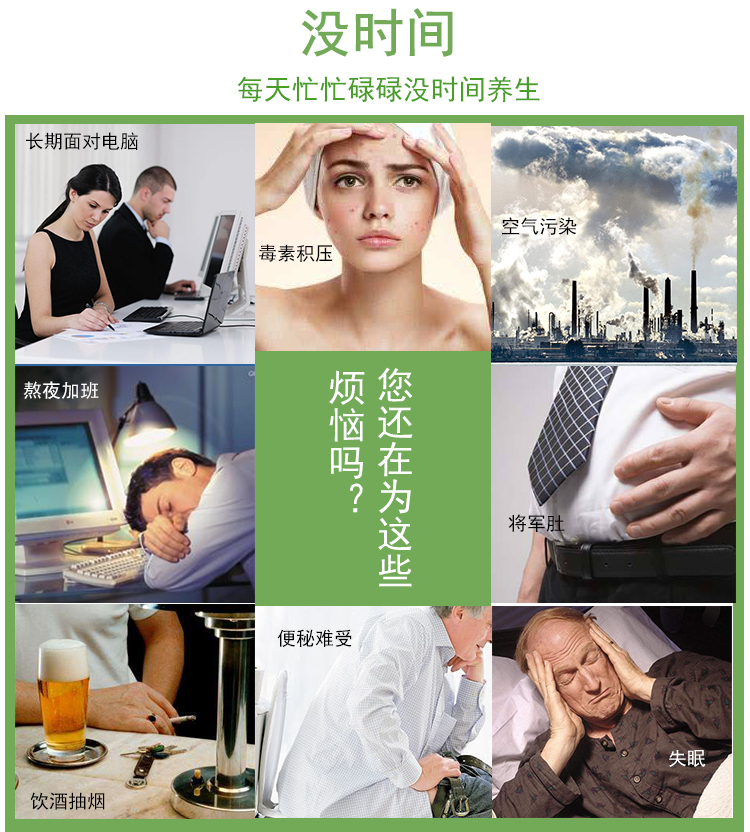 紫云英_02.jpg