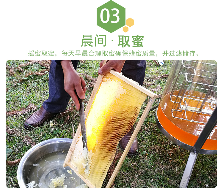 紫云英_12.jpg